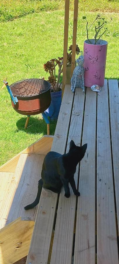 Cat Nap Cottage Bettys Bay Ngoại thất bức ảnh