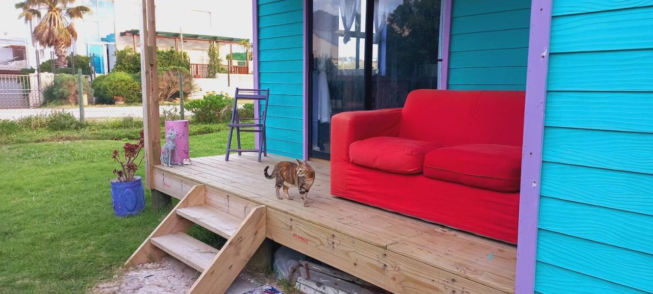 Cat Nap Cottage Bettys Bay Ngoại thất bức ảnh