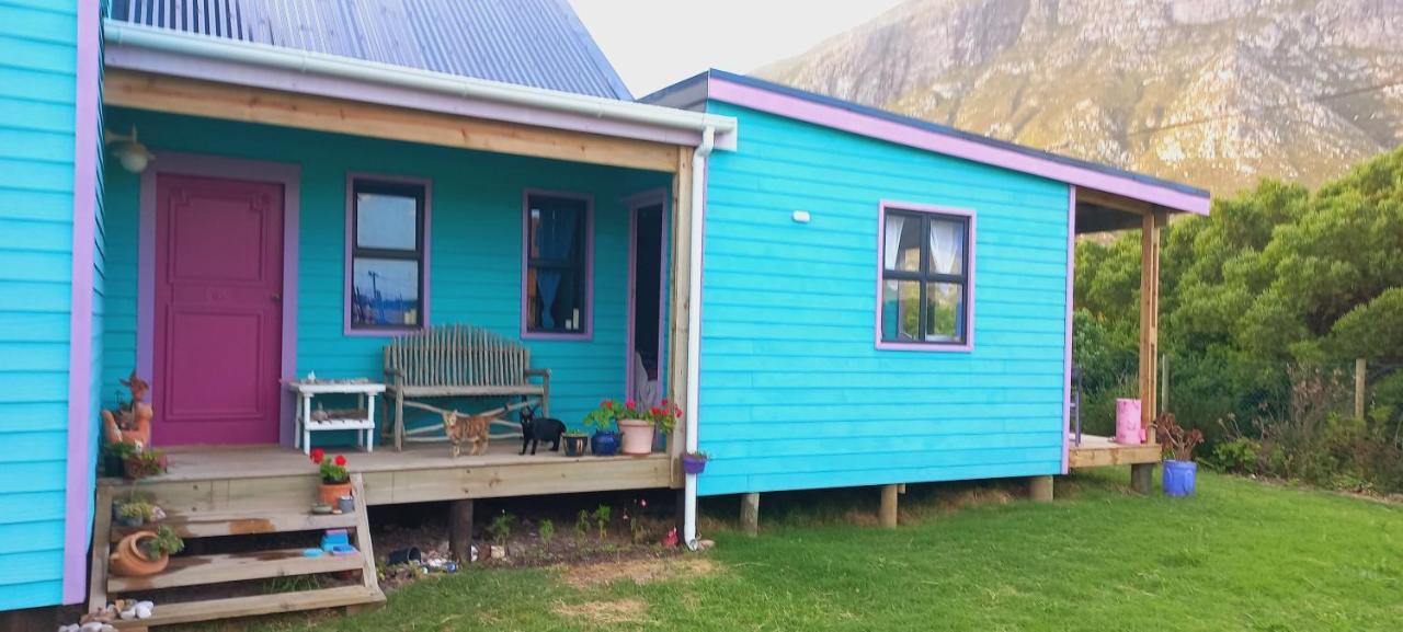 Cat Nap Cottage Bettys Bay Ngoại thất bức ảnh