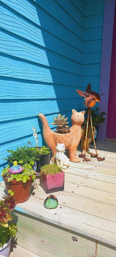 Cat Nap Cottage Bettys Bay Ngoại thất bức ảnh