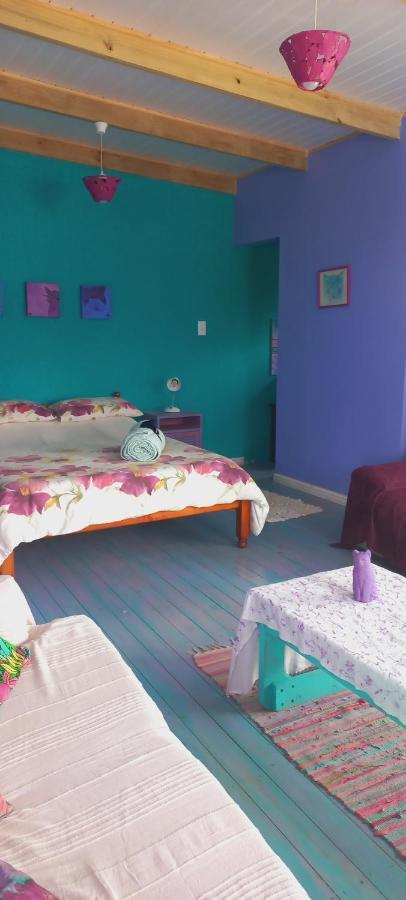 Cat Nap Cottage Bettys Bay Ngoại thất bức ảnh